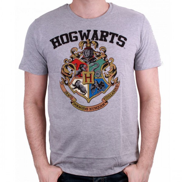 Hogwarts men t-shirt - Harry Potter - Forom47.com