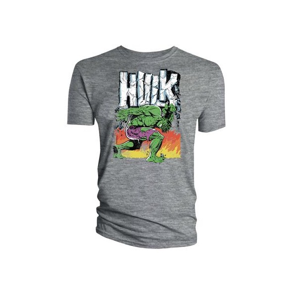 The Incredible Hulk vintage t-shirt - Forom47.com